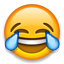 :frowning: